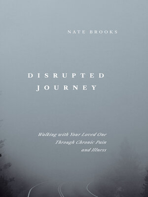 cover image of Disrupted Journey